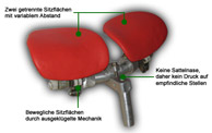 Beschreibung Fahrradsattel